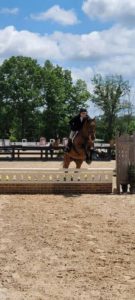 Lorien Competing In Equestrian